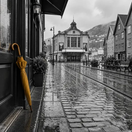 Bergen International Film Festival: Nine Days of Cinema for a Rainy October
