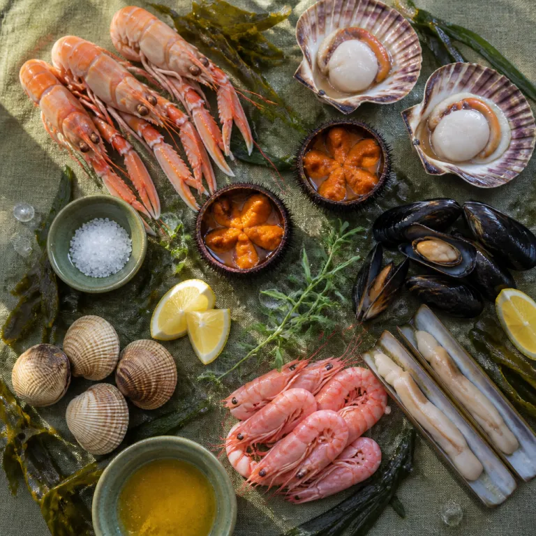 Beyond Cod and Salmon: The Lesser-Known Seafood Bergen Does Better Than Anywhere