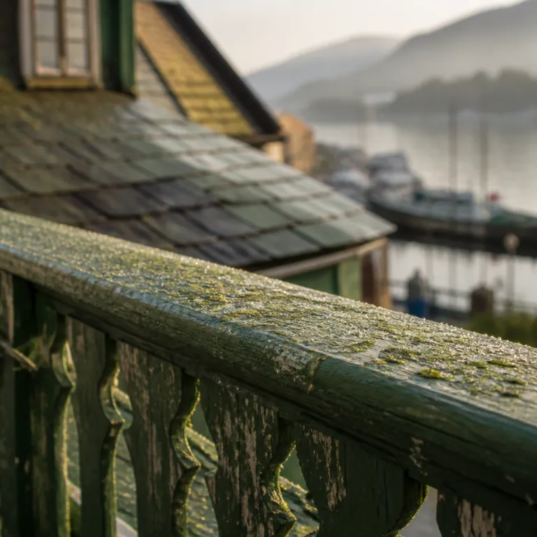Opus XVI: Sleeping in Edvard Grieg's Heritage, Waking to Bergen's Harbour